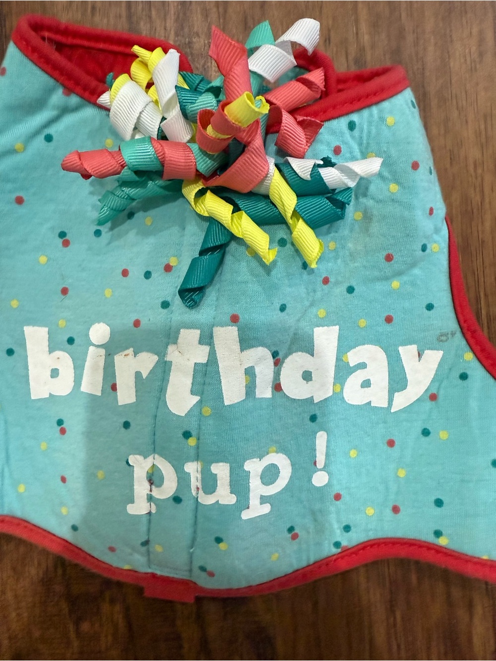 Birthday Pup Dog Harness with Colorful Ribbon Accent for small/medium dog
